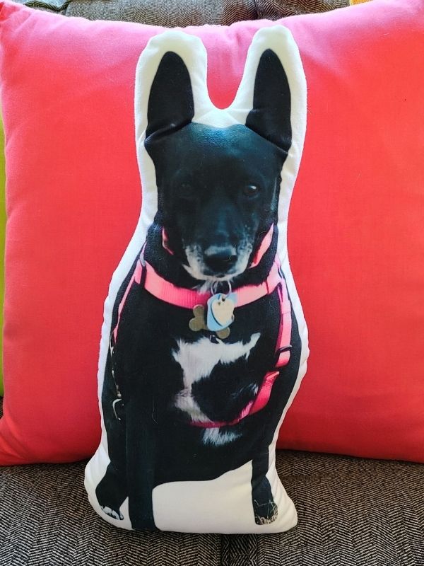 all about vibe custom dog pillow